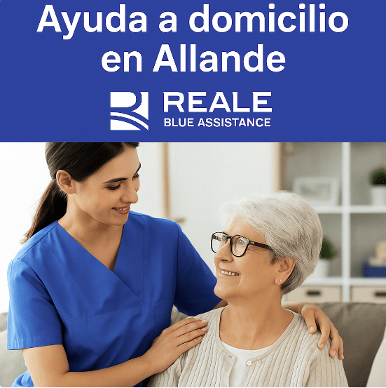 ayuda a domicilio en Allande