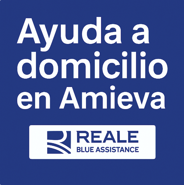 ayuda a domicilio en Amieva